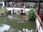 Shanghai 8_4_08_ YuYuan Garden opas 021.jpg